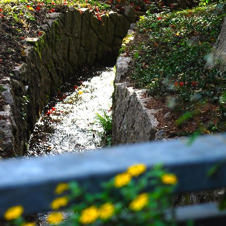 Ferienwohnung Wanderschoen Sasbachwalden Kültér fotó